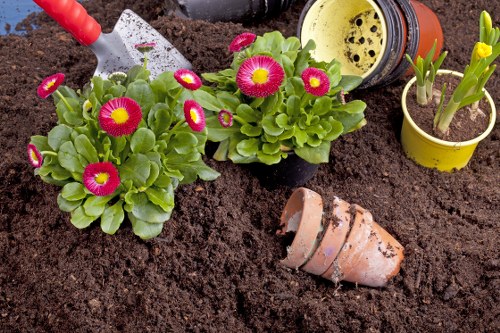 Cricklewood garden landscaping with stylish planting and paving