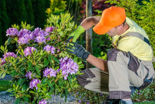 Person reviewing a landscaping complaint form during a project check