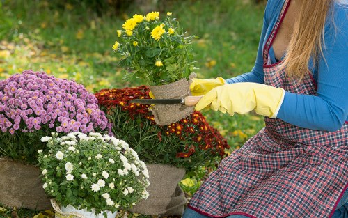 Garden safety checks and site assessment for a Cricklewood landscaping project
