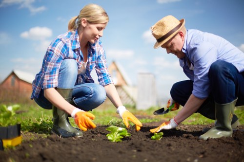 Accessibility request support for landscaping services