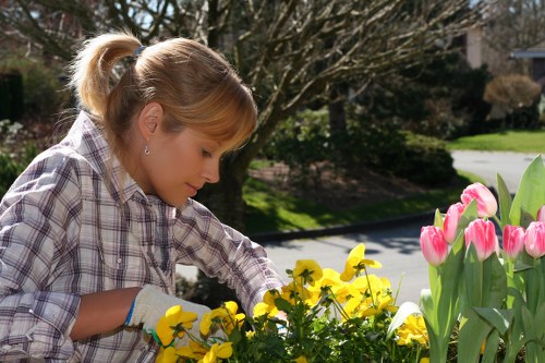 Keyboard navigation on a landscaping website