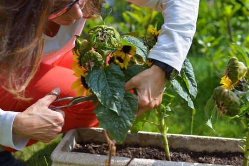 Marketing cookie preferences for Cricklewood landscaping content